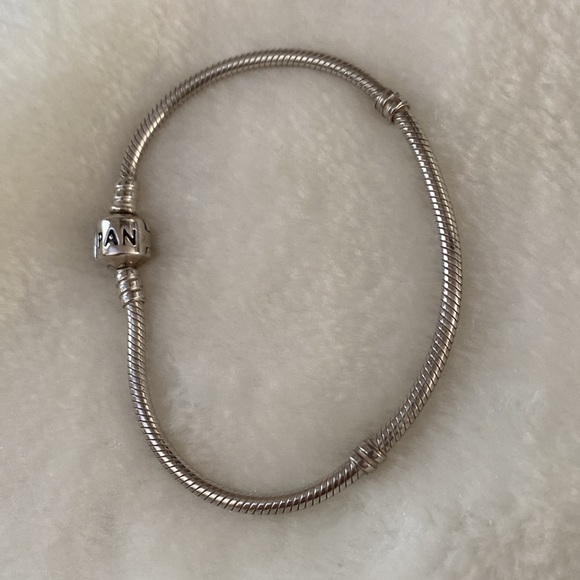 Pandora Moments Snake Chain Bracelet - Picture 3 of 11